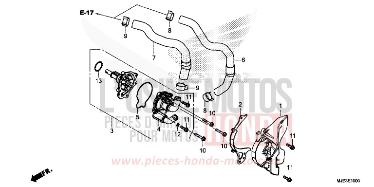 WATER PUMP for CBR650F MAT GUNPOWDER BLACK METALLIC (NH436) from 2017