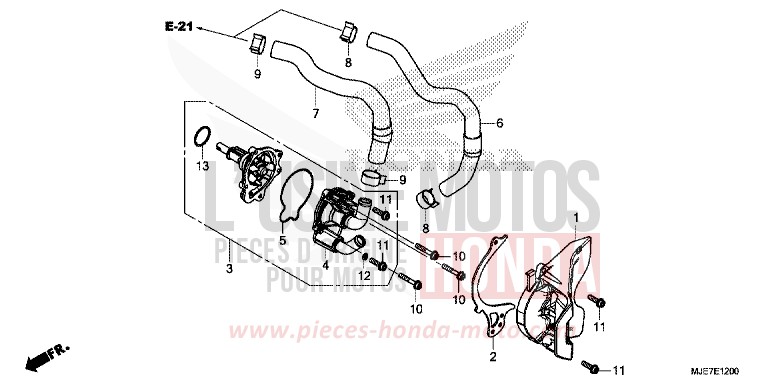 WATER PUMP for CBR650F PEARL METALLOID WHITE (NHA96) from 2018