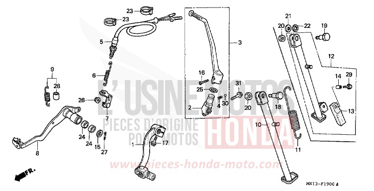 PEDAL/KICK STARTER ARM for XR600R SHASTA WHITE (NH138H) from 1995