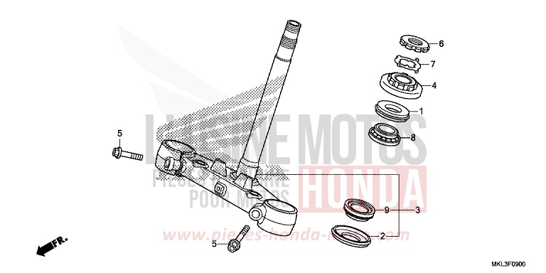 STEERING STEM for NC750X PEARL GLARE WHITE (NHB53) from 2020