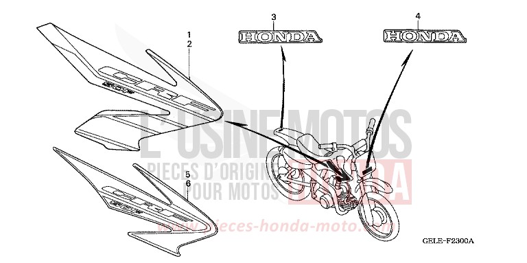 MARK/STRIPE (CRF50F4/5) for CRF50F EXTREME RED (R292) from 2004
