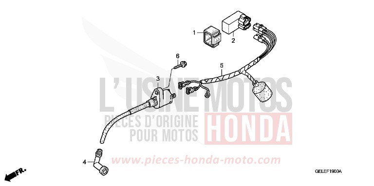 WIRE HARNESS for CRF50F EXTREME RED (R292) from 2008