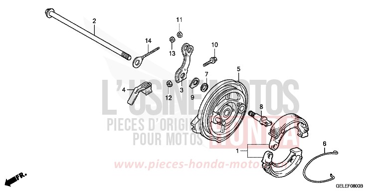REAR BRAKE PANEL for CRF50F EXTREME RED (R292) from 2009