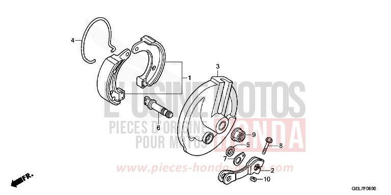 FRONT BRAKE PANEL for CRF50F EXTREME RED (R292) from 2012