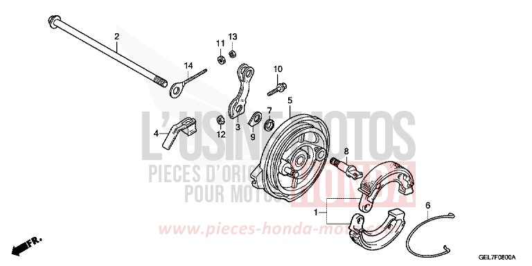 REAR BRAKE PANEL for CRF50F EXTREME RED (R292) from 2014