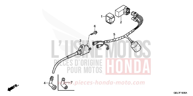 WIRE HARNESS for CRF50F EXTREME RED (R292) from 2014