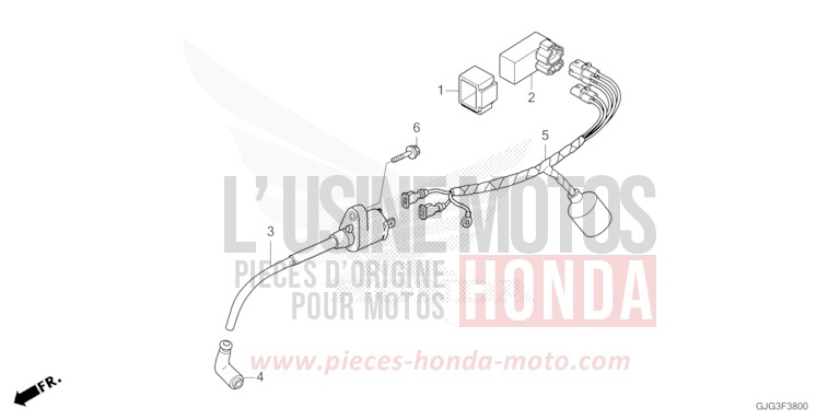 WIRE HARNESS for CRF50F EXTREME RED (R292) from 2023