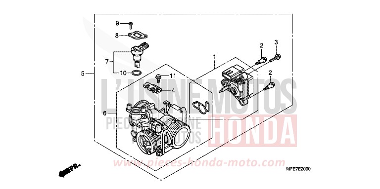 CORPS DE PAPILLON for   from 