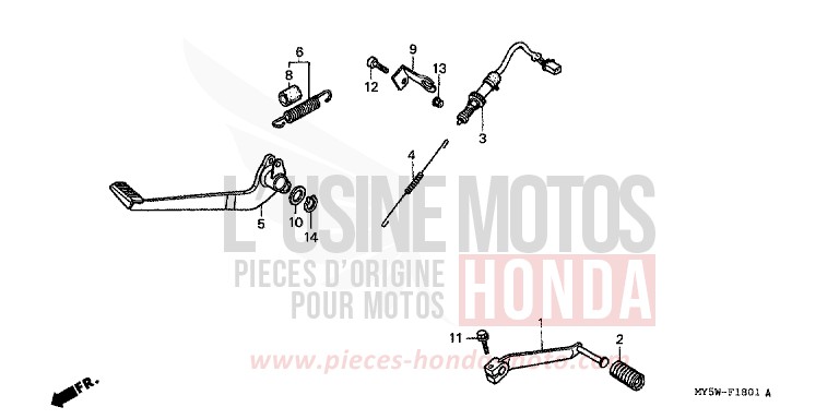 PEDALE (2) for   from 