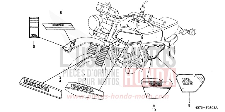 RAYURE/EMBLEME (SAUF XL125SB,C-CM) for   from 