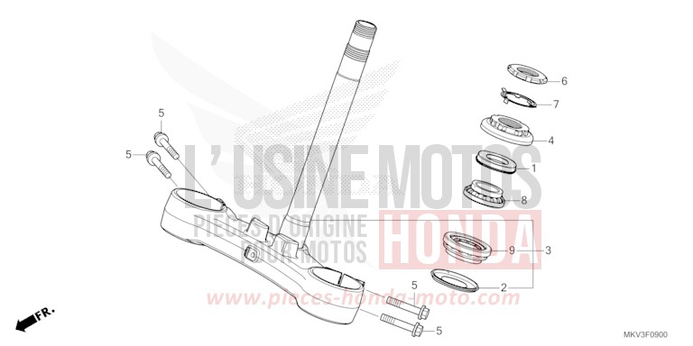 STEERING STEM for NSS750 GRAPHITE BLACK (NHB01) from 2022