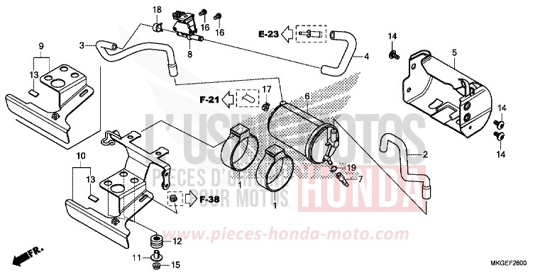 CANISTER/STAY for CMX500 PEARL SMOKY GRAY (NHC53) from 2023