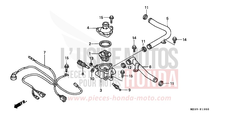 WATER PIPE/THERMOSTAT for VALKYRIE NOIR (NH1) from 1997