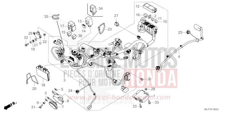 WIRE HARNESS for CL500A CANDY CARIBBEAN BLUE SEA (B189) from 2023