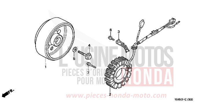 GENERATRICE for   from 