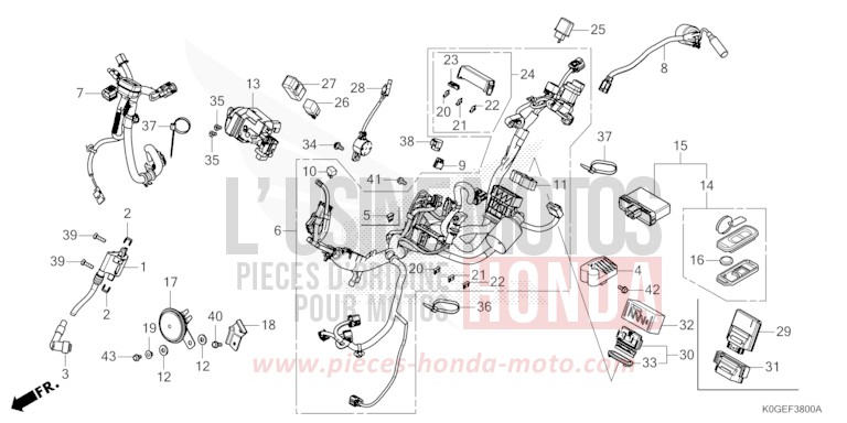 WIRE HARNESS (1) for C125A PEARL NEBULA RED (R376) from 2022