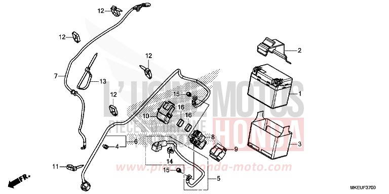 BATTERIA per CRF450L EXTREME RED (R292) del 2019