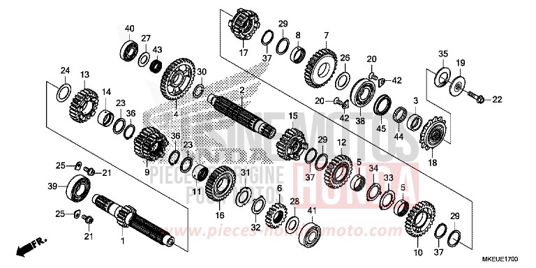 TRASMISSIONE per CRF450L EXTREME RED (R292) del 2020