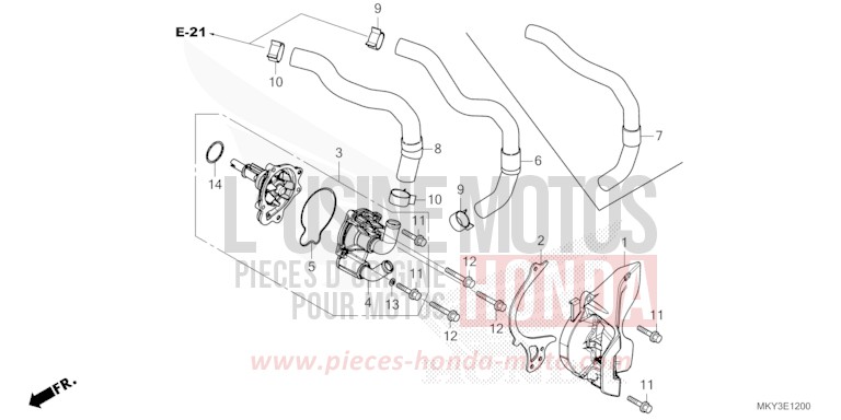WATER PUMP for CBR650R GRAND PRIX RED (R380) from 2022