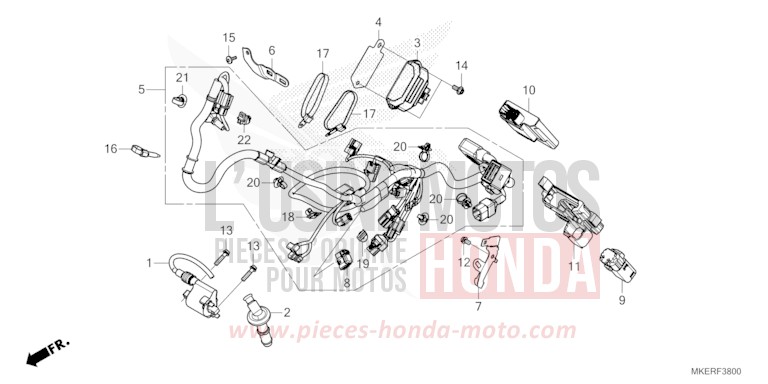 WIRE HARNESS (CRF450RR/RWER/RXR) for CRF450R EXTREME RED (R292) from 2024