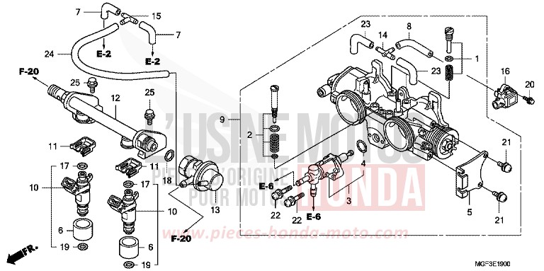 CORPS DE PAPILLON for   from 