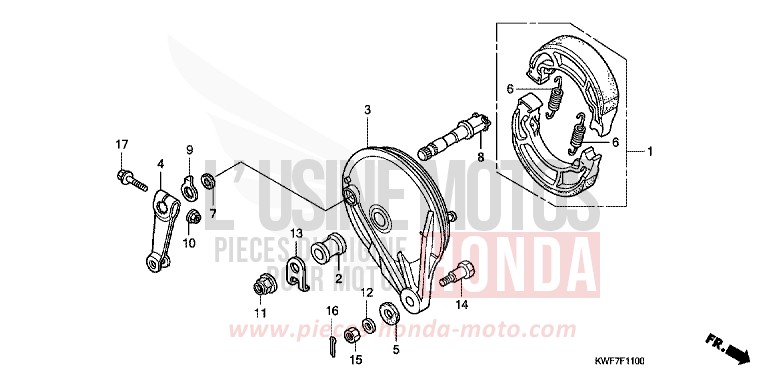 REAR BRAKE PANEL for CBF125M VIRTUOUS WHITE (NHB16) from 2013