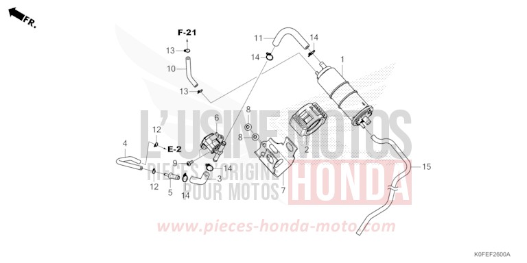 CANISTER for Z125MA PEARL NEBULA RED (R376X) from 2022