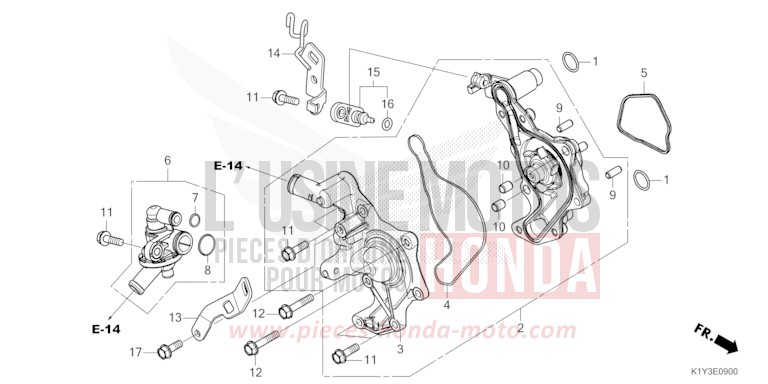 WATER PUMP for WW125 MAT SUIT BLUE METALLIC (PB434) from 2023