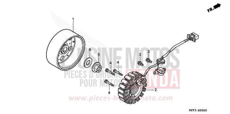 GENERATOR for Pantheon CYCLON BLUE METALLIC (PB221) from 2001