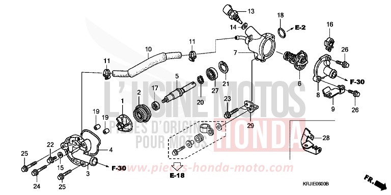 WATER PUMP for Pantheon INTERSTELLAR BLACK METALLIC (NHA12) from 2004