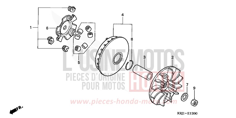 DRIVE FACE for Pantheon PETROL BLUE METALLIC (B183) from 2004