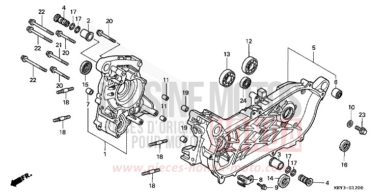 CRANKCASE for Pantheon ICE BLUE METALLIC (PB299) from 2000