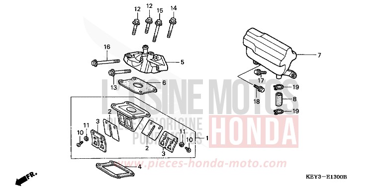 REED VALVE for Pantheon ICE BLUE METALLIC (PB299) from 2000