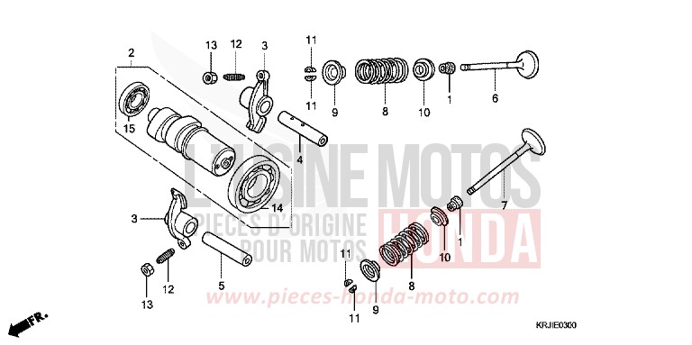 CAMSHAFT/VALVE for Pantheon FORCE SILVER METALLIC (NH411) from 2003