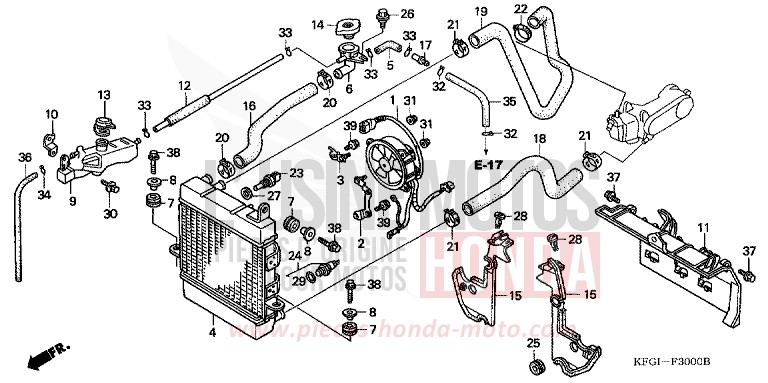 RADIATOR for Foresight CYNOS GRAY METALLIC (NH400) from 2001