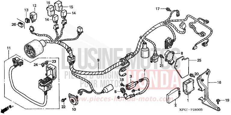 WIRE HARNESS for Foresight ICE BLUE METALLIC (PB299) from 2001