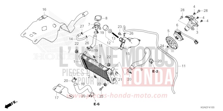 RADIATOR for CBF300NA CANDY CHROMOSPHERE RED (R381) from 2022