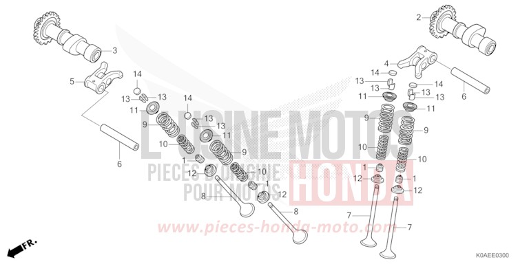 CAMSHAFT/VALVE for CBF300NA MAT PEARL AGILE BLUE (PB413) from 2022