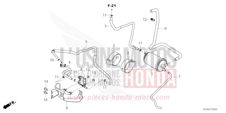 CANISTER for CBF300NA MAT PEARL AGILE BLUE (PB413) from 2022