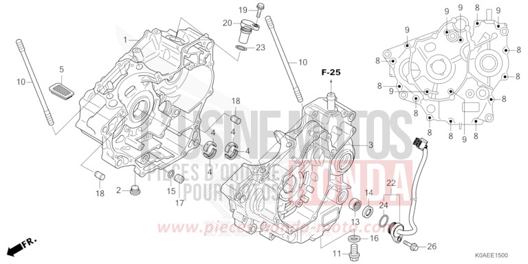 CRANKCASE for CBF300NA PEARL DUSK YELLOW (Y238) from 2022