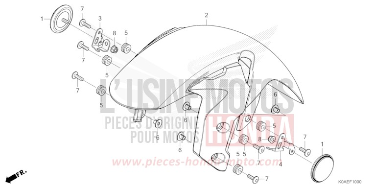 FRONT FENDER for CBF300NA PEARL DUSK YELLOW (Y238) from 2022