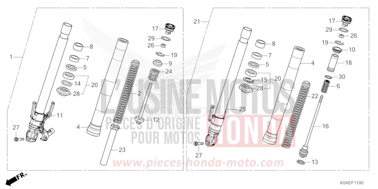 FRONT FORK for CBF300NA PEARL DUSK YELLOW (Y238) from 2022