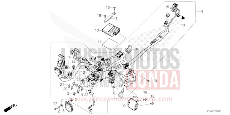 WIRE HARNESS (1) for CBF300NA PEARL DUSK YELLOW (Y238) from 2022