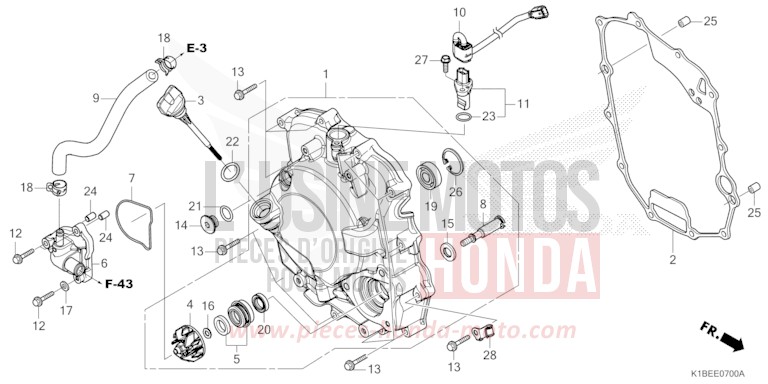 RIGHT CRANKCASE COVER/WATER PUMP for NSS350A MAT PEARL COOL WHITE (NHB44) from 2025