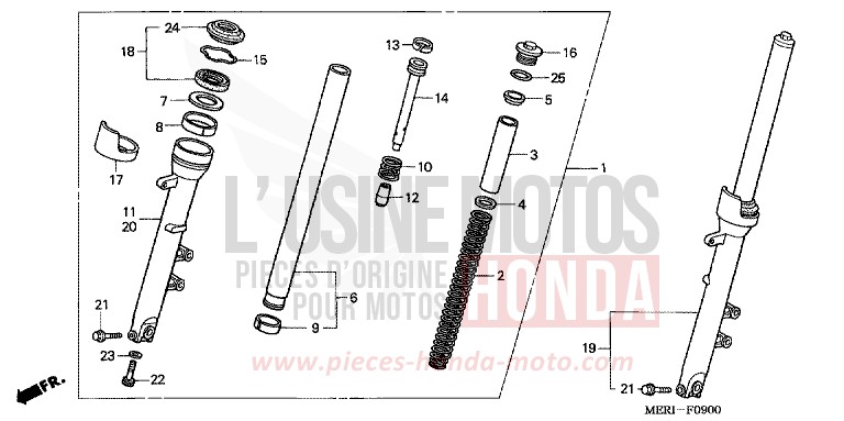 FRONT FORK for CBF600N NORTH POLE BLUE METALLIC (PB342) from 2005