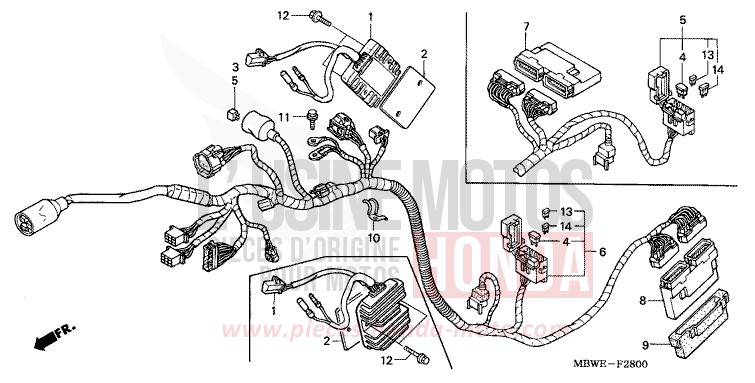 WIRE HARNESS for CBR600F SPARKLING RED (R127) from 2002
