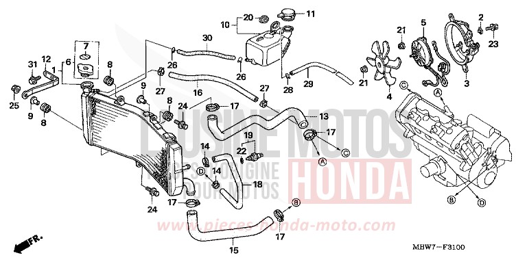 RADIATOR for CBR600F ITALIAN RED (R157) from 2005