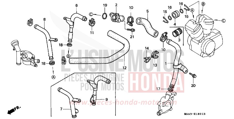 WATER PIPE (VT1100CV/CW/C2) for Shadow PEARL ROYAL MAGENTA (RP151A) from 1996