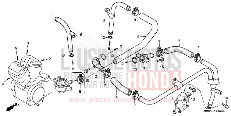 WATER PIPE for Shadow CANDY SPECTRA RED (R176BA) from 1994