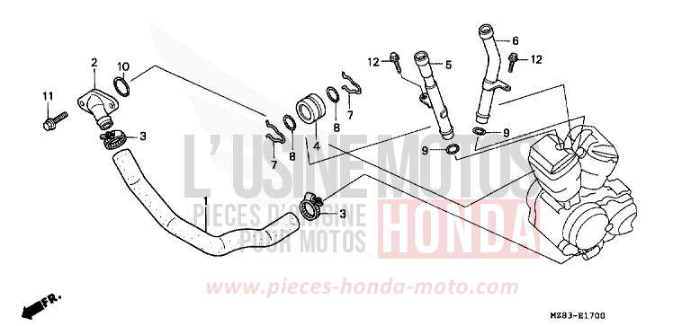 WATER PIPE for Shadow CANDY GLORY RED-U (R101B) from 1995